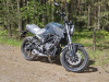 Racer Caiman, 2026 г.