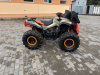 BRP Renegade, 2019 г.
