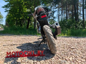 Motoland WASP 300, 2026 г.