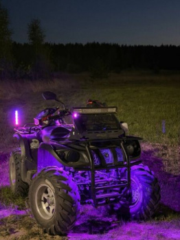 Stels ATV 500GT, 2010 г.