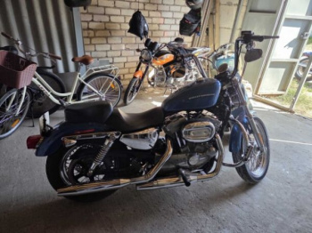 Harley-Davidson Sportster, 2006 г.