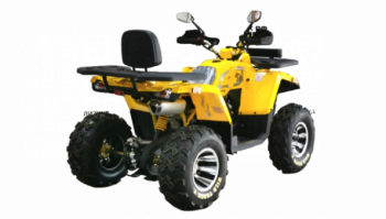 Motoland Wild Track X PRO, 2025 г.