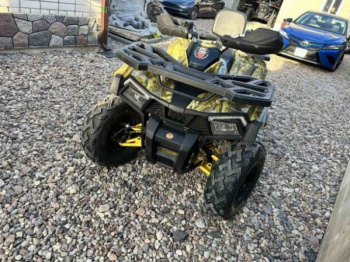 Motoland Wild Track X, 2024 г.