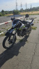 Regulmoto TE PR, 2024 г.