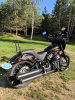 Harley-Davidson Softail Street Bob FXBB, 2019 г.