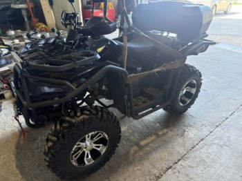 Avantis ATV 300 Lux, 2025 г.
