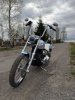 Harley-Davidson Softail Custom, 2008 г.