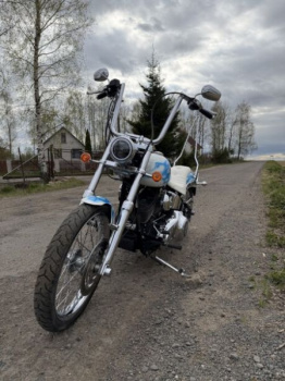 Harley-Davidson Softail Custom, 2008 г.