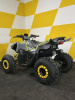 AMOTO Raptor 125, 2025 г.