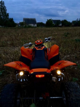 Adly ATV 500s, 2009 г.