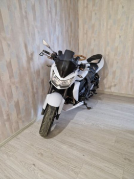 Kawasaki Z, 2008 г.