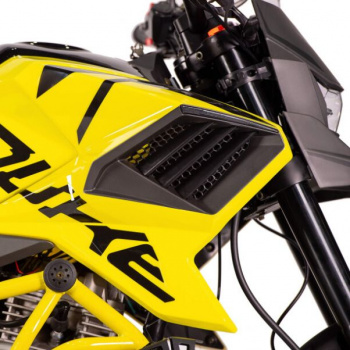 Regulmoto Duke 300, 2026 г.
