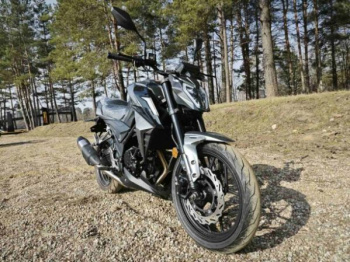 Motoland DF 300 BIG BORE, 2026 г.