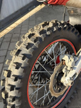 Beta RR 300, 2019 г.