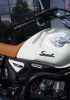 Racer RC 50-H Scout, 2025 г.