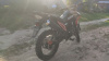 Avantis MT 250, 2023 г.