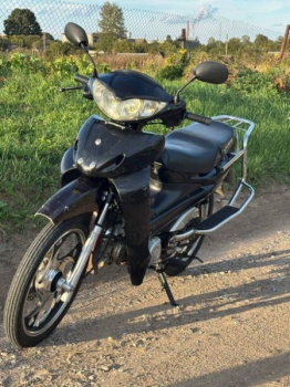 Viper ZS, 2008 г.