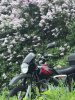 BAJAJ Boxer, 2024 г.