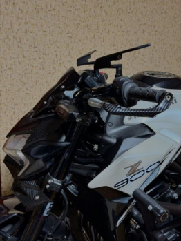 Kawasaki Z, 2021 г.
