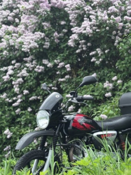 BAJAJ Boxer, 2024 г.