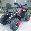 Racer RC 200 GLADIATOR, 2024 г.