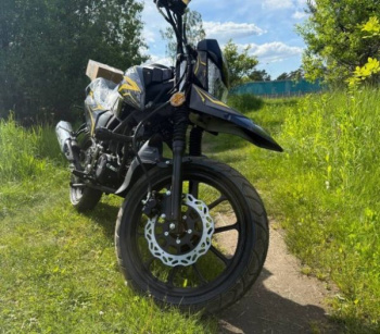 Roliz ALPHA URSA, 2026 г.