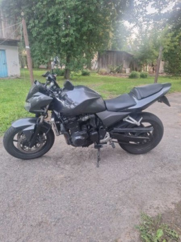 Kawasaki Z, 2006 г.