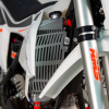Regulmoto Crosstrec 300 2025, 2026 г.