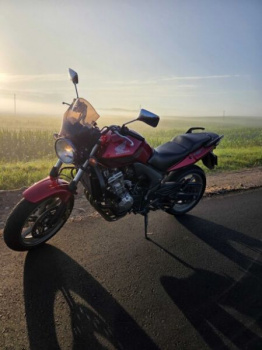 Honda CBF, 2008 г.