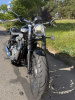 Triumph Speedmaster, 2023 г.