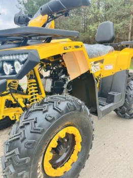 Motoland Wild Track LUX 200, 2026 г.