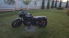 Harley-Davidson Nightster RH975, 2022 г.
