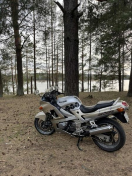 Kawasaki ZZR, 2002 г.