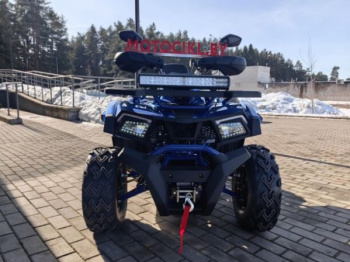 Motoland Wild Track 200 X WINCH, 2025 г.