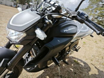 Regulmoto Alien Monster 300, 2025 г.