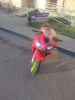 Honda CBR f4i, 2002 г.