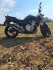 Suzuki Bandit, 2009 г.