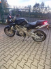 Aprilia Shiver, 2011 г.