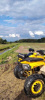 Motoland 200 Wild Track, 2024 г.