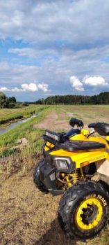 Motoland 200 Wild Track, 2024 г.