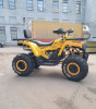 Motoland Wild Track, 2026 г.