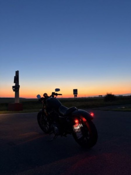 Harley-Davidson Sportster XL883 iron, 2019 г.