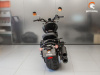 Timpton Bobber S 800, 2026 г.