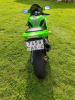 Kawasaki ZXR, 2005 г.