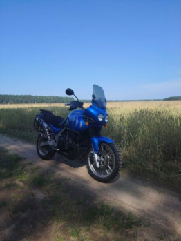 Triumph Tiger 955i, 2006 г.