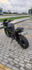 Kawasaki Z, 2022 г.