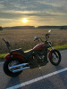 Harley-Davidson Softail FXBBS STREET BOB 114, 2021 г.