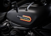 Harley-Davidson Nightster Special, 2025 г.