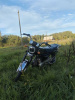 Hors Alpha XL, 2013 г.