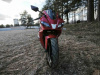 Motoland R1 300, 2026 г.